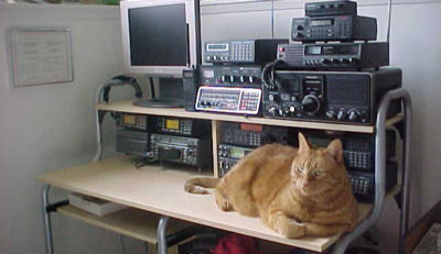 Old Shack early 2000s